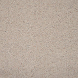 Wilton Royal Charter Berber Deluxe Carpet by Abingdon