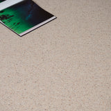 Irish Cream Wilton Royal Charter Berber Deluxe Carpet by Abingdon