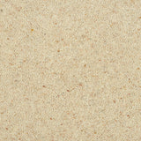 Irish Cream Royal Windsor Charter Berber Deluxe Carpet by Abingdon