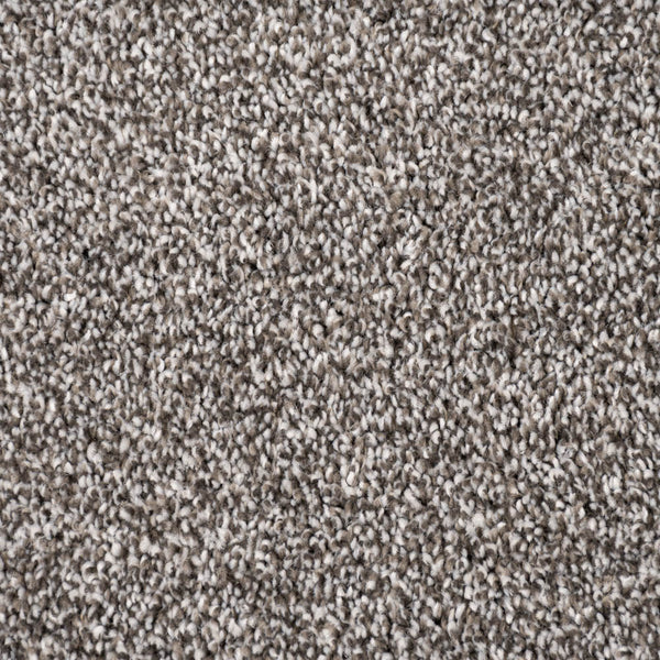 Iron Frost Maverick Saxony Carpet