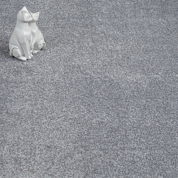 Iron Grey 94 Soft Splendid Saxony Actionback Carpet Clearance