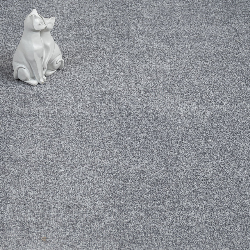 Iron Grey 94 Soft Splendid Saxony Actionback Carpet Clearance
