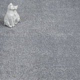 Iron Grey 94 Soft Splendid Saxony Actionback Carpet Clearance
