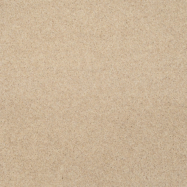Ivory Cream Riverside Twist 60oz Carpet 2.4m x 5m Remnant