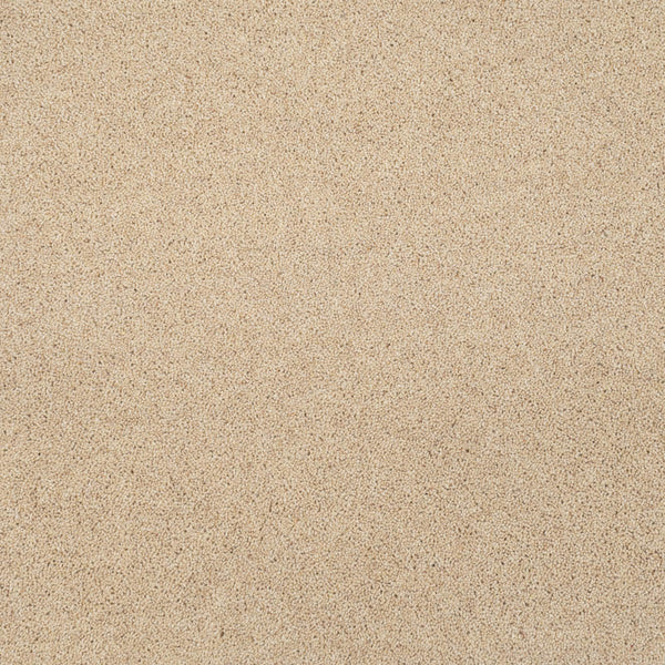 Ivory Cream Riverside Twist 60oz Carpet Buy 80/20 Carpets Online