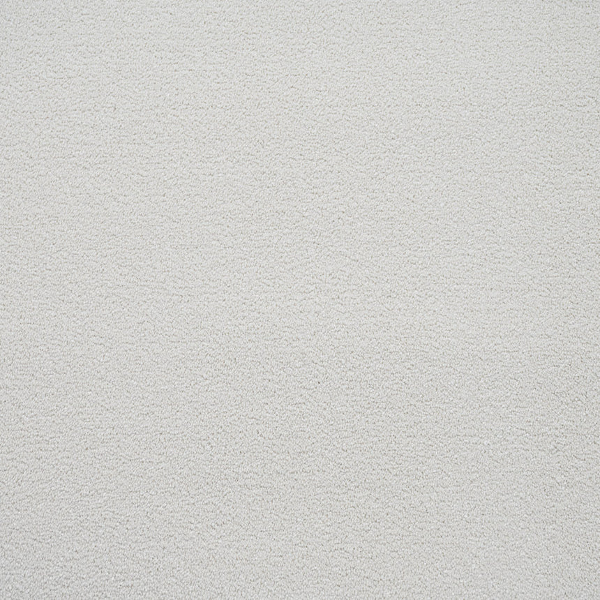 Ivory Regal Saxony Carpet
