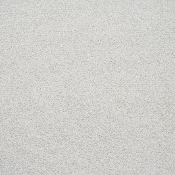 Ivory Regal Saxony Carpet