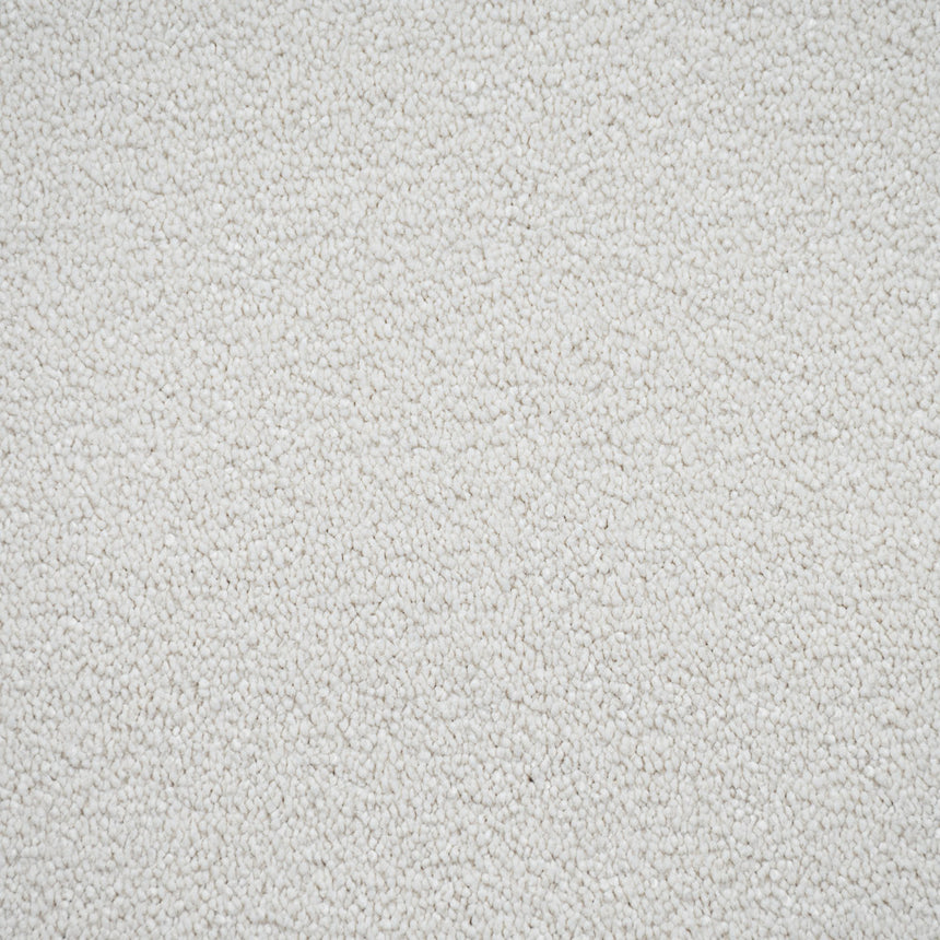 Ivory Regal Saxony Carpet