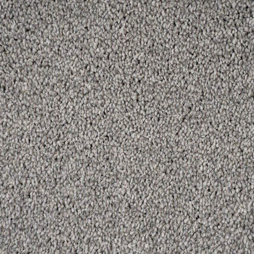 Kale 95 Cassius 70oz Invictus Carpet