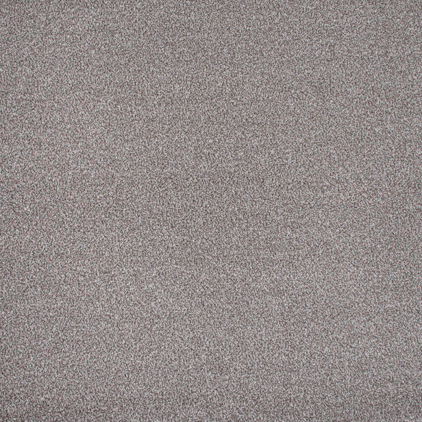 Koala Mist Soft Noble Saxony Carpet Clearance