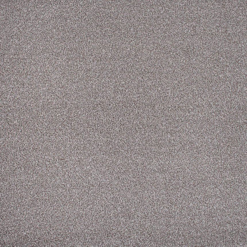 Koala Mist Soft Noble Saxony Carpet Clearance