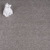 Koala Mist Soft Noble Saxony Carpet Clearance