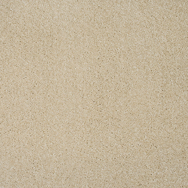 Latte 36