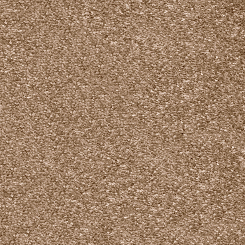 Latte 40 Centurion Invictus Carpet