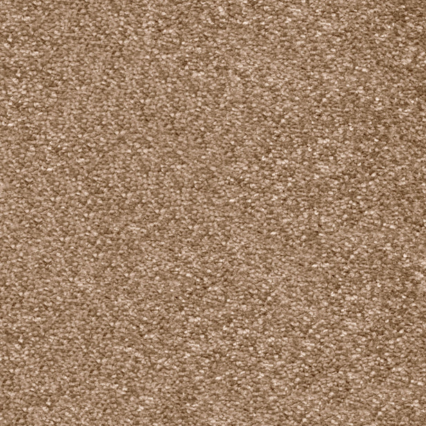 Latte 40 Centurion Invictus Carpet