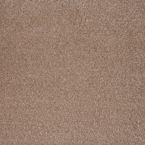 Latte 40 Magnificus Invictus Supreme Carpet