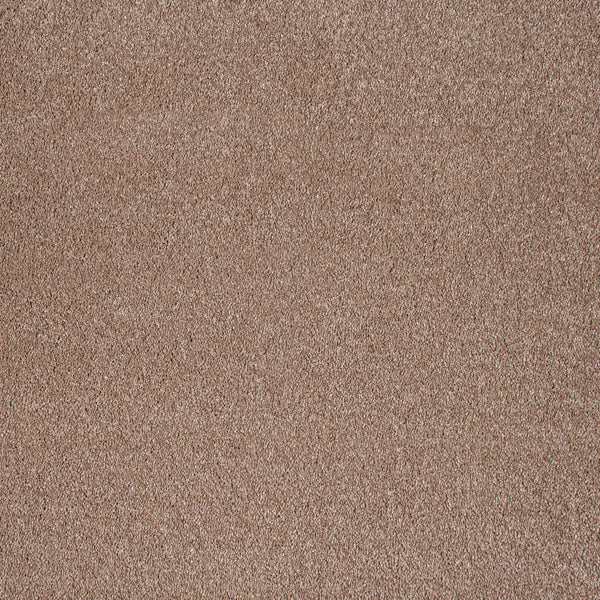 Latte 40 Magnificus Invictus Supreme Carpet | Online Carpets