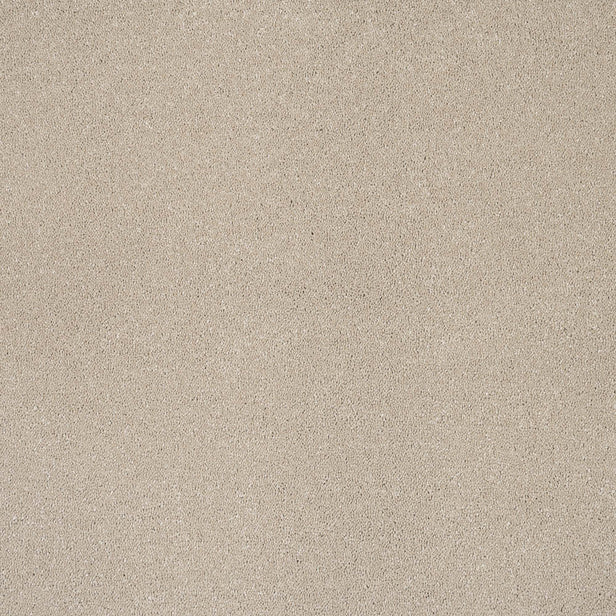 Latte Sensation Original 60oz Carpet by Cormar