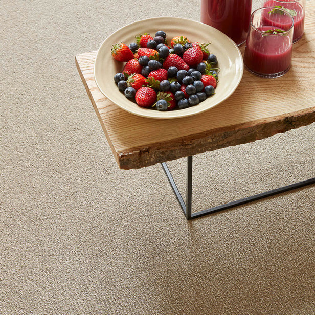 Latte Sensation Original 60oz Carpet by Cormar