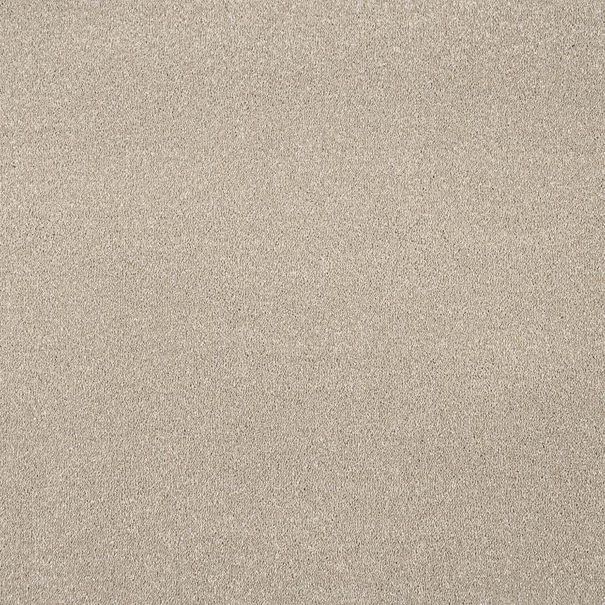 Latte Stainfree Caress Carpet by Abingdon