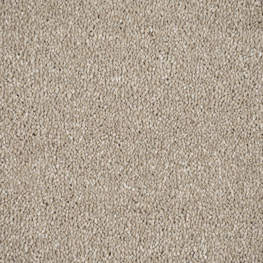 Latte Stainfree Caress Carpet by Abingdon
