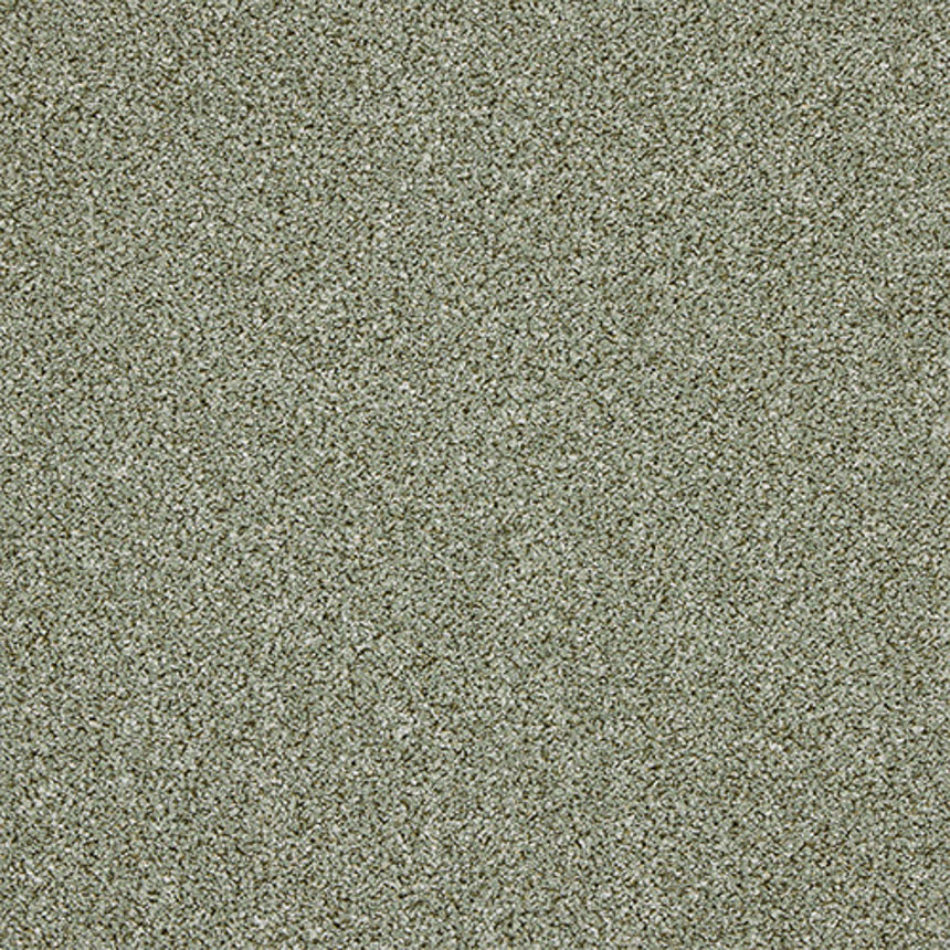 Stainfree Knightsbridge Berber Carpet by Abingdon