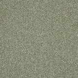 Stainfree Knightsbridge Berber Carpet by Abingdon