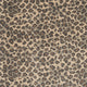 Leopard 01