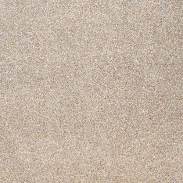 Delaware Saxony Carpet Buy Delaware Saxony Carpet Online