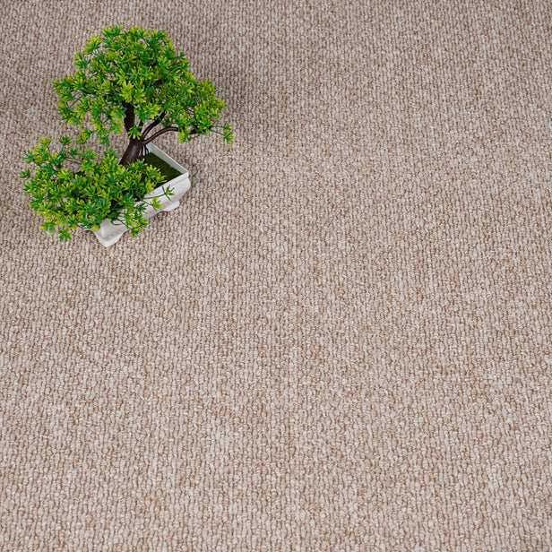 Light Beige Star Loop Carpet