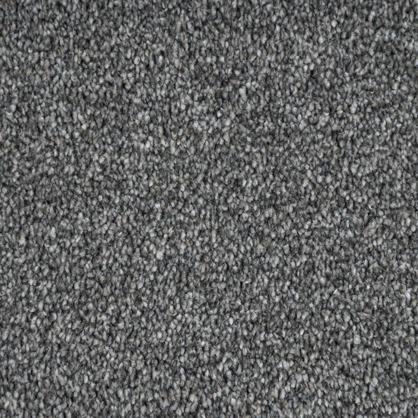 Lillium 97 Darius 50oz Invictus Carpet