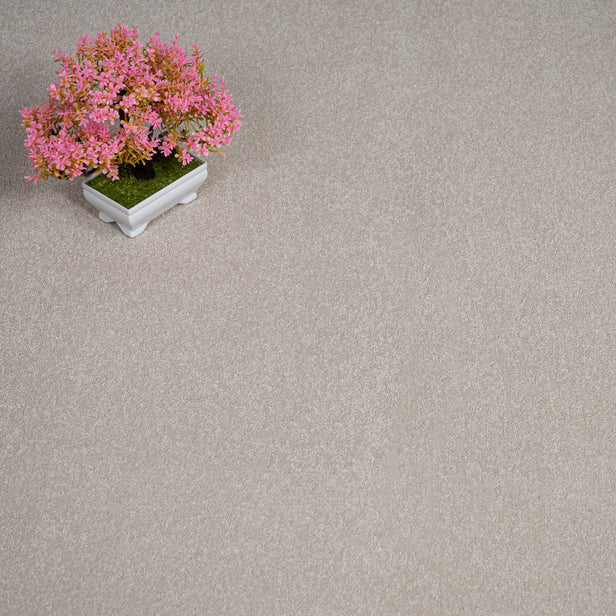 Linen Regal Saxony Carpet