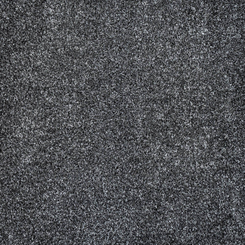 Anthracite Louisiana Saxony Carpet