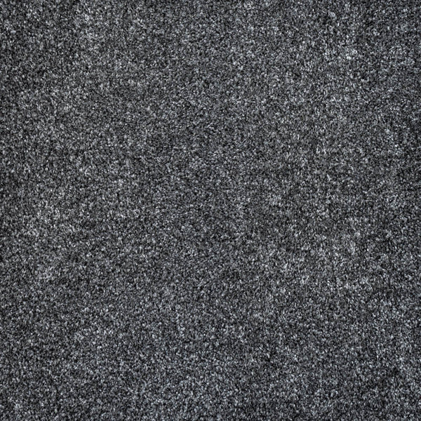 Anthracite Louisiana Saxony Carpet
