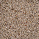 Macaroon Natural Berber Twist Deluxe 55oz Carpet by Cormar