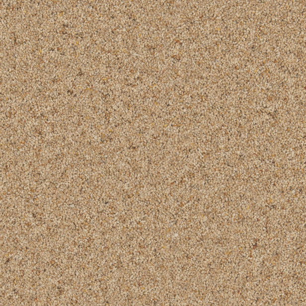 Macaroon Natural Berber Twist Deluxe 55oz Carpet by Cormar