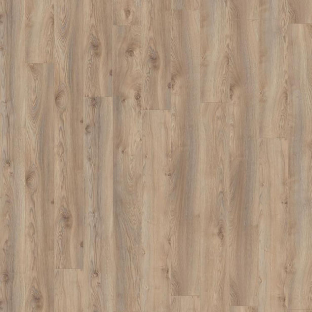 Macro Oak Beige D3669 Mammut 12mm Laminate Flooring by Kronotex