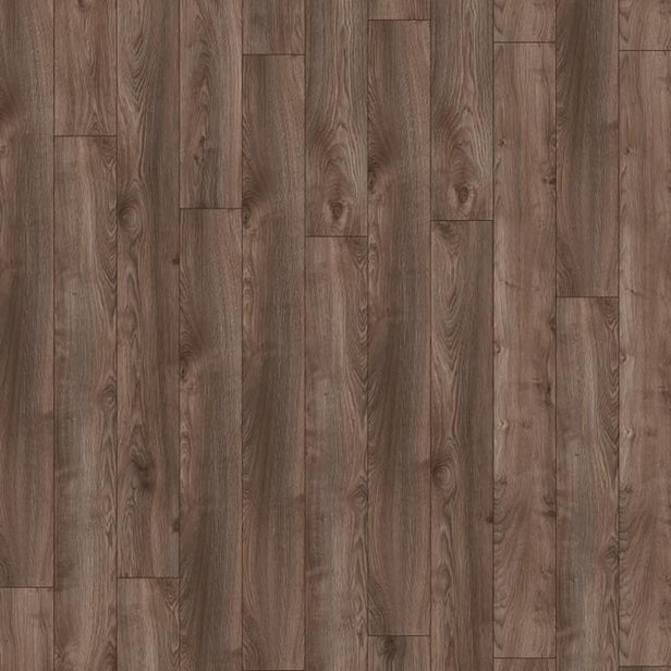 Macro Oak Grey D4792 Mammut 12mm Laminate Flooring by Kronotex