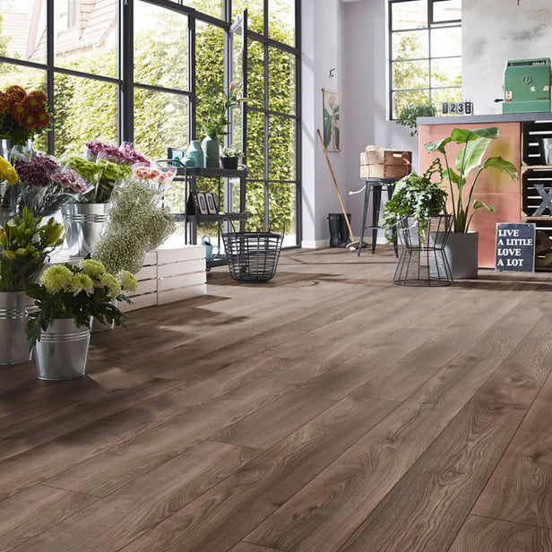 Macro Oak Grey D4792 Mammut 12mm Laminate Flooring by Kronotex