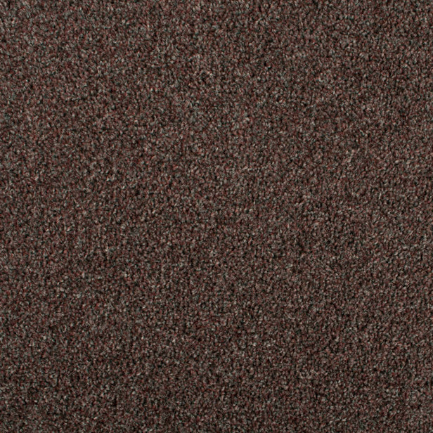 Mahogany 773 Dublin Heather Twist Actionback Carpet Clearance