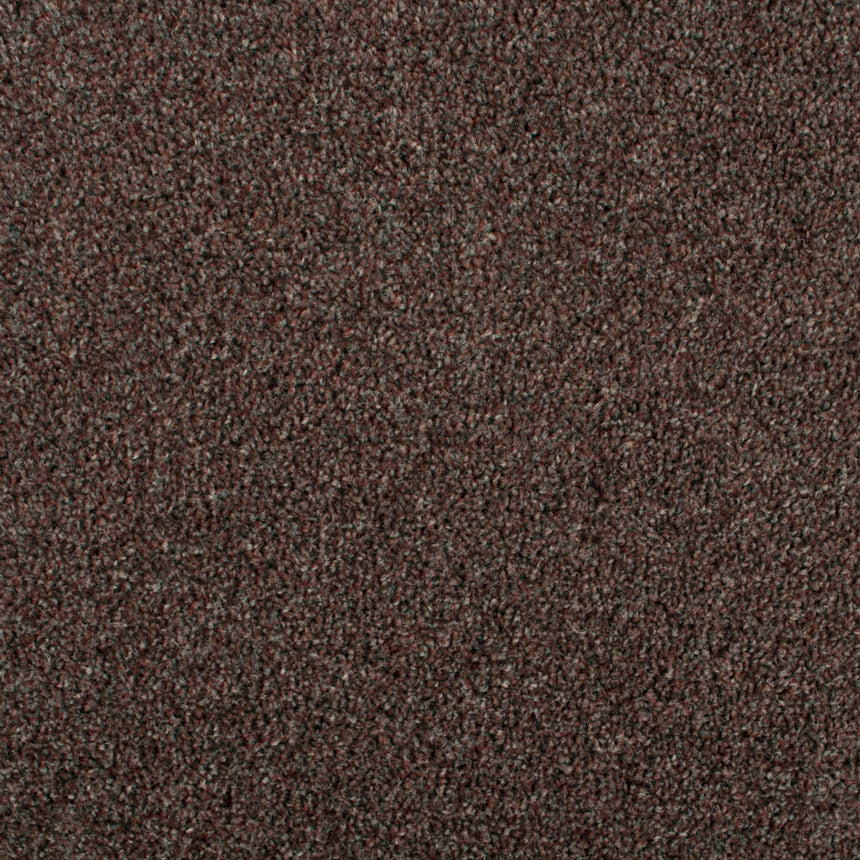 Mahogany 773 Dublin Heather Twist Actionback Carpet Clearance