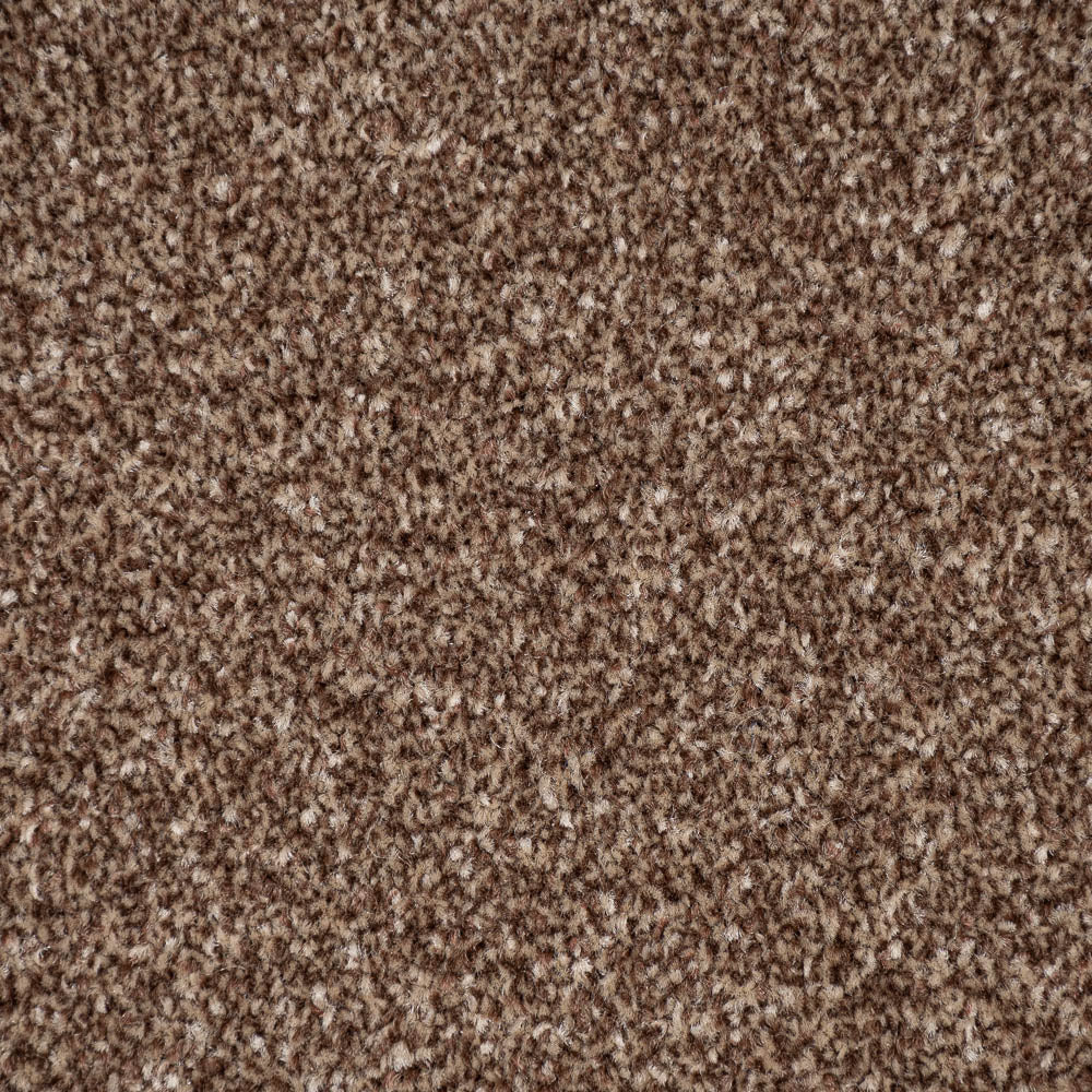 Mahogany Apollo Plus Carpet | Buy Apollo Plus Carpets Online ...