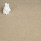 Malt Silken Serenity Carpet by Cormar
