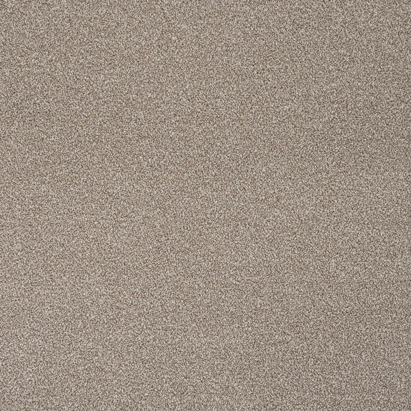 Apollo Plus Carpet | Buy Apollo Plus Carpets Online | Online Carpets