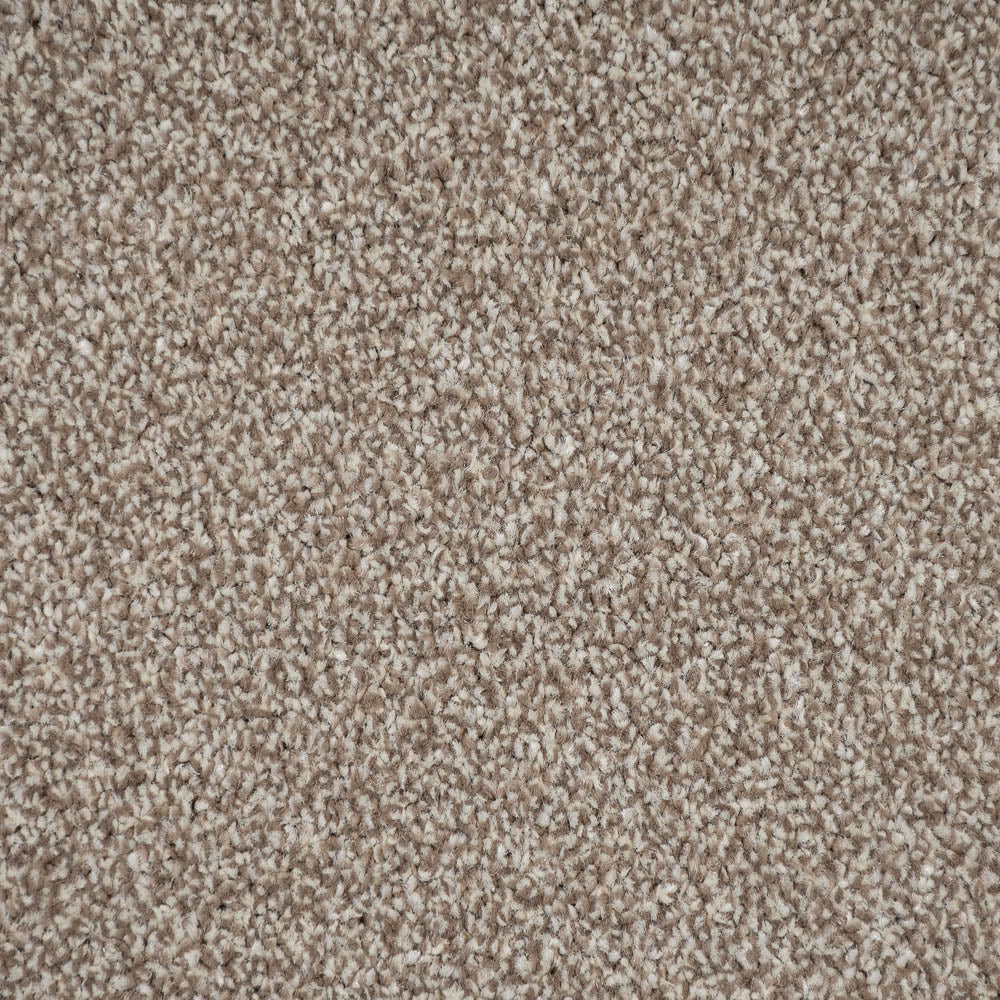Manhattan Taupe Apollo Plus Carpet | Buy Apollo Plus Carpets Online ...