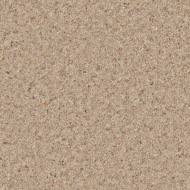 Medlar Natural Berber Twist Deluxe 55oz Carpet by Cormar