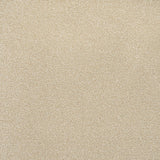 Miami Beach Primo Naturals Carpet by Cormar