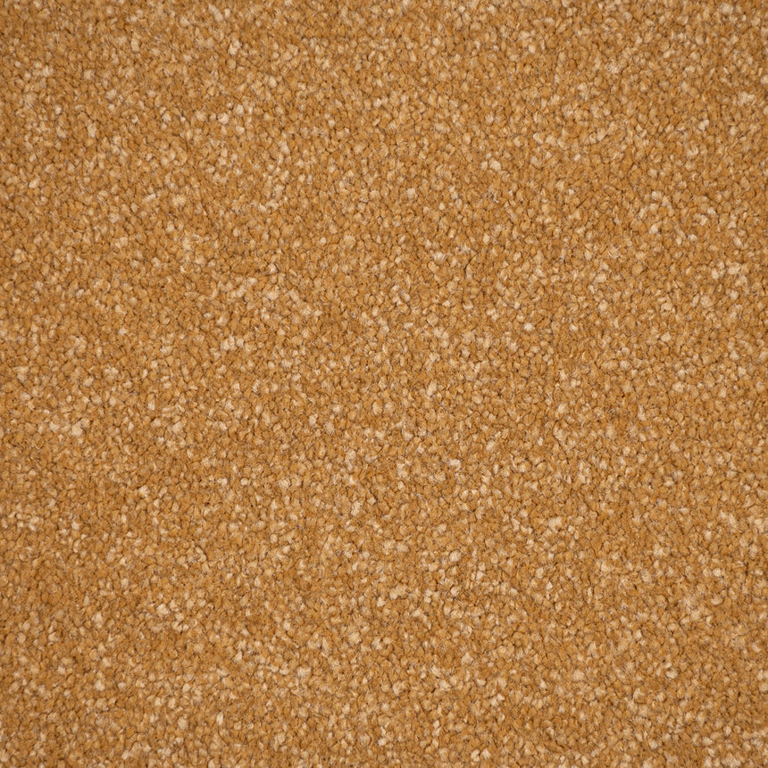 Midas Touch Linwood 40oz Twist Carpet by Cormar