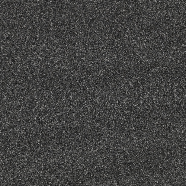 Midnight Grove Primo Naturals Carpet by Cormar