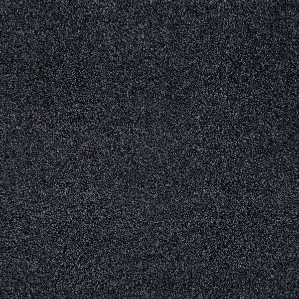 Midnight Louisiana Saxony Carpet